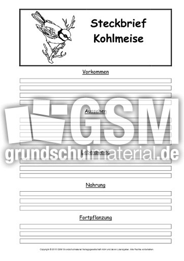 Steckbriefvorlage-Kohlmeise.pdf